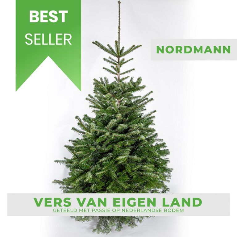 Home Kerstboom aanbieding selectie bij Intratuin, Gamma en Praxis